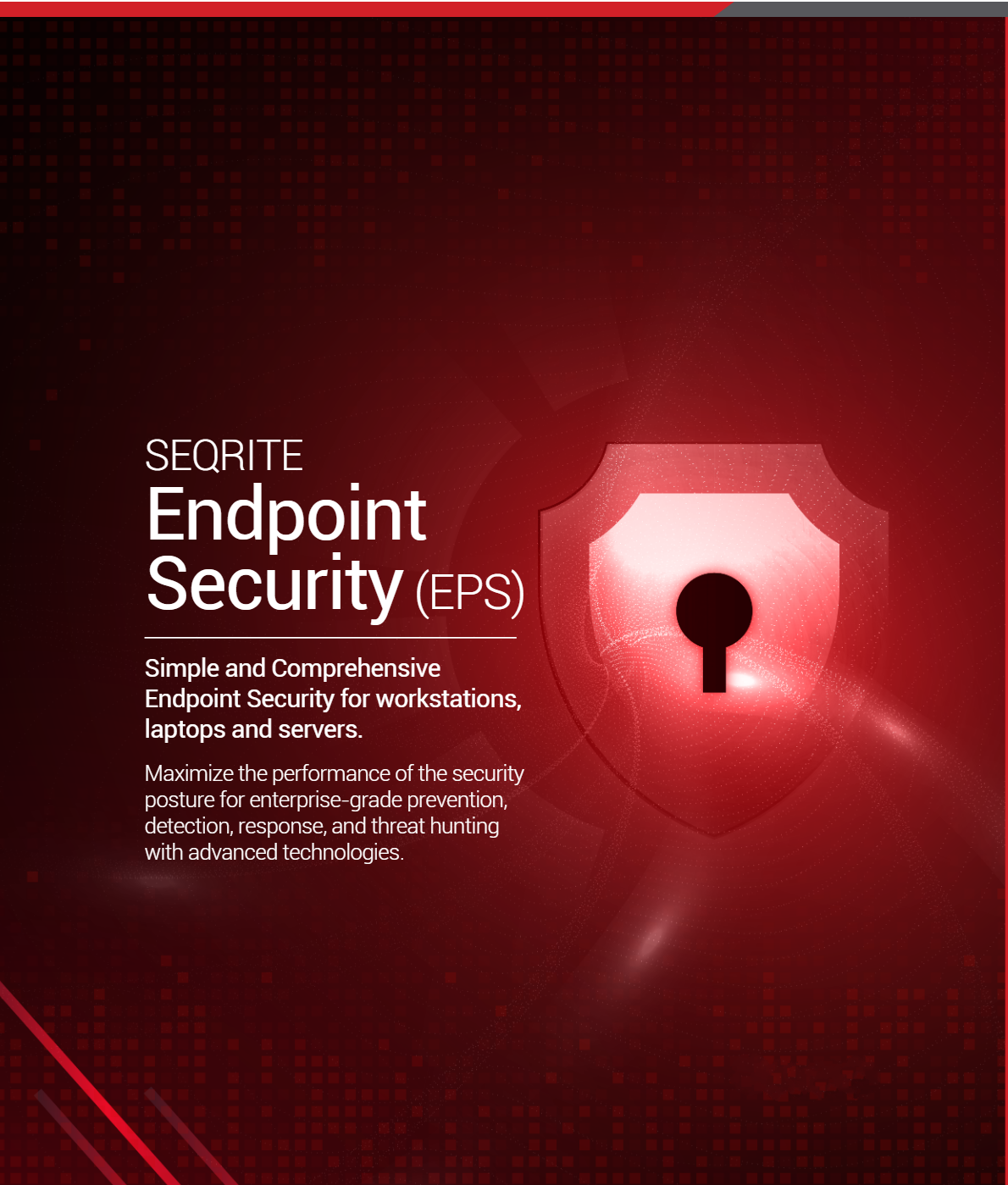 Endpoint Security Solutions